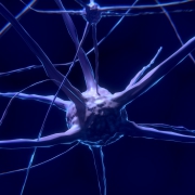 allenare la neuroplasticità