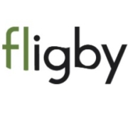 analisi dei dati Fligby