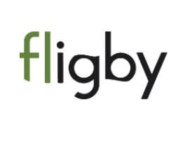analisi dei dati Fligby